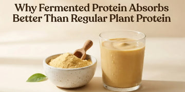 Why Fermented Protein Absorbs Better Than Regular Plant Protein And What That Means For Your Results