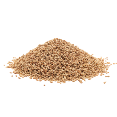 Ajwain