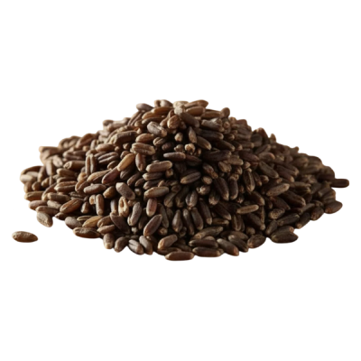 Black Wheat
